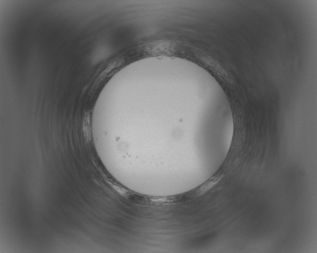 X0000051910240200507011542