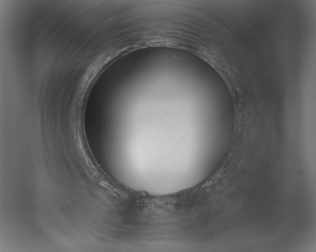 X0000051910241200507011541