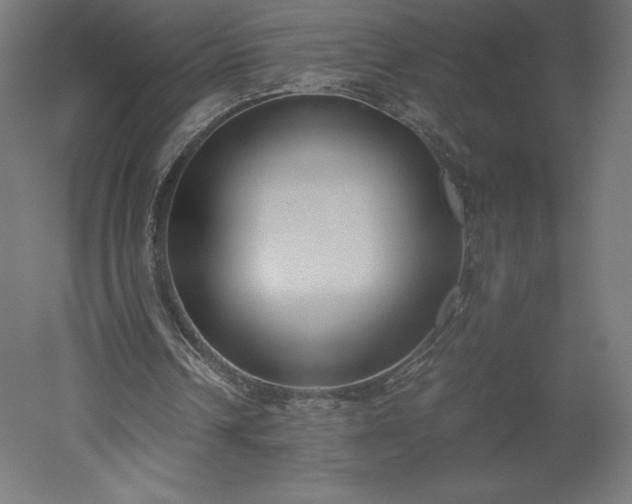 X0000051910242200507011541