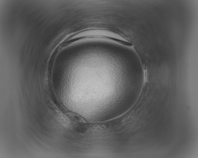 X0000051910243200507011541