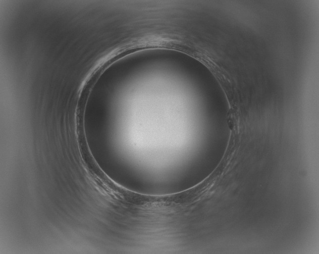 X0000051910244200507011541