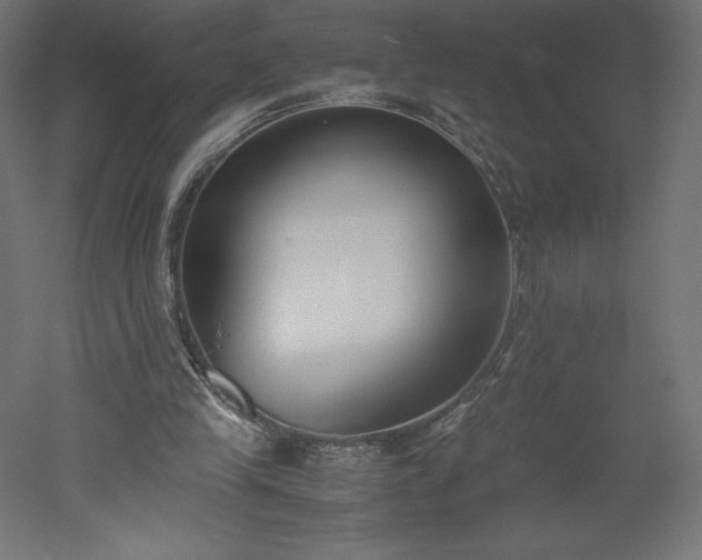 X0000051910245200507011541