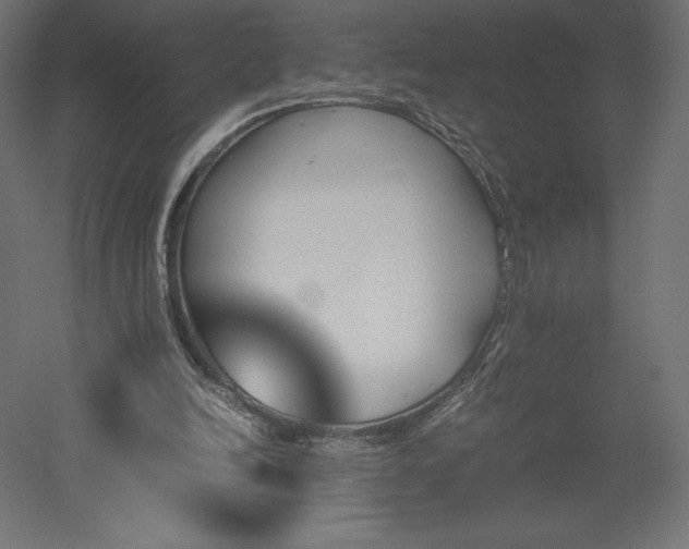 X0000051910246200507011541