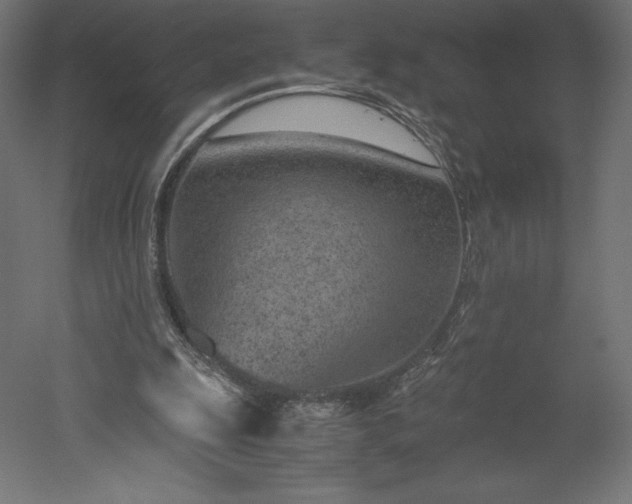 X0000051910247200507011541