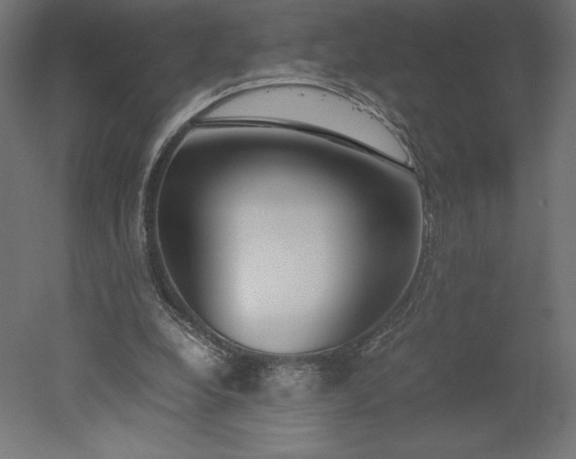 X0000051910248200507011541