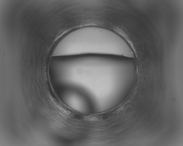 X0000051910249200507011541