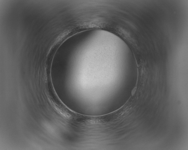 X0000051910250200507011541