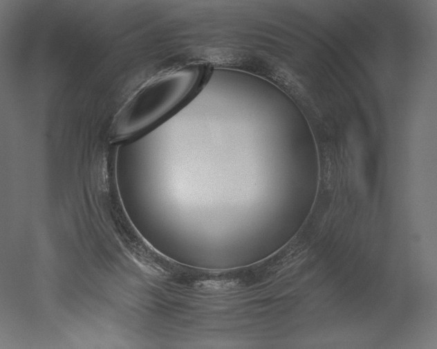 X0000051910251200507011541