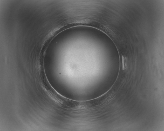 X0000051910252200507011541