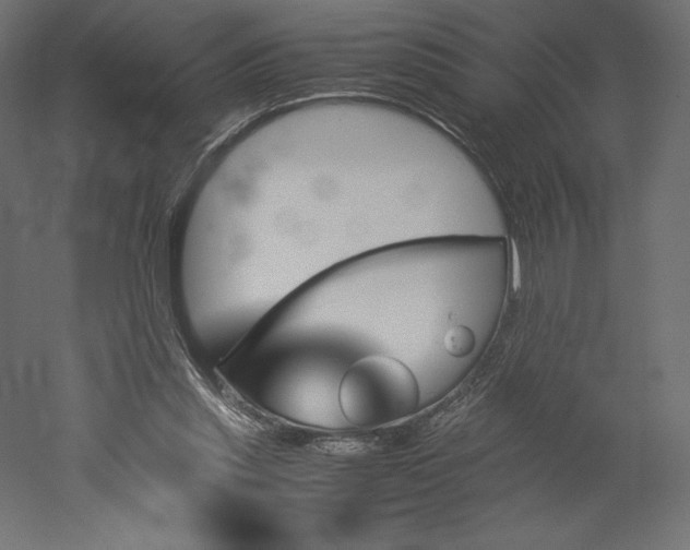 X0000051910253200507011541