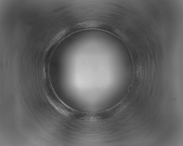 X0000051910254200507011541