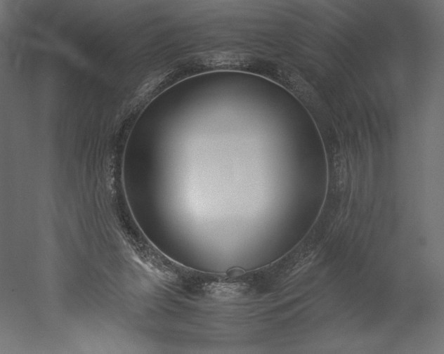 X0000051910255200507011541