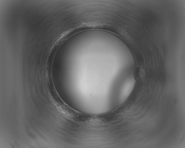 X0000051910256200507011541