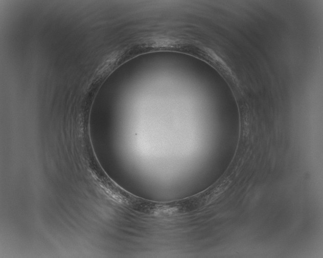 X0000051910257200507011541