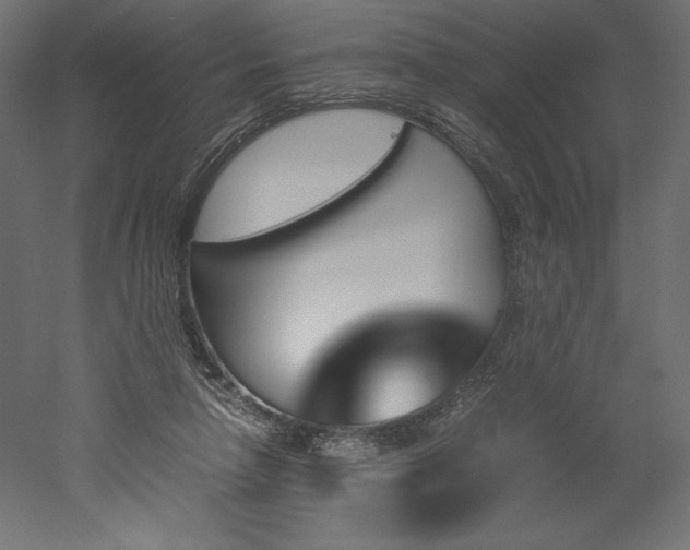 X0000051910258200507011541