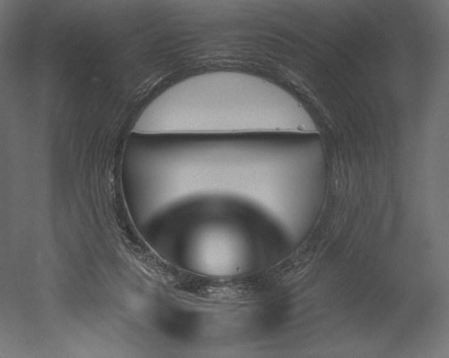 X0000051910259200507011541