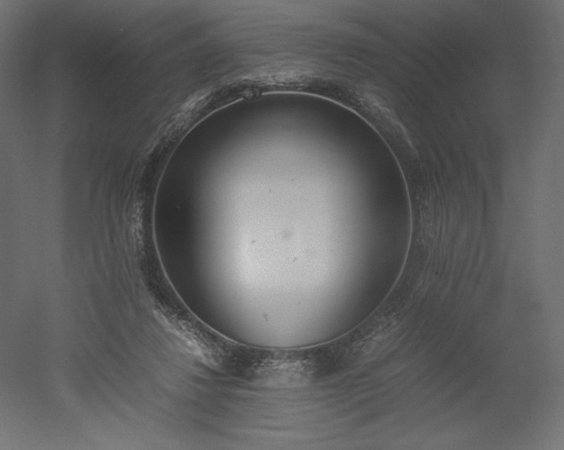 X0000051910260200507011541