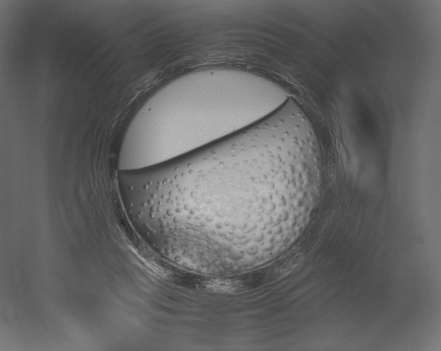 X0000051910261200507011541