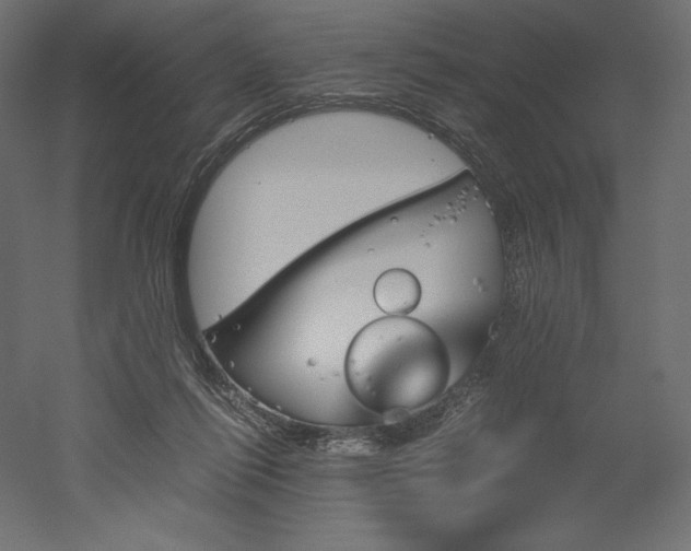 X0000051910262200507011541