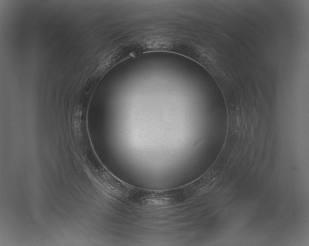 X0000051910263200507011541