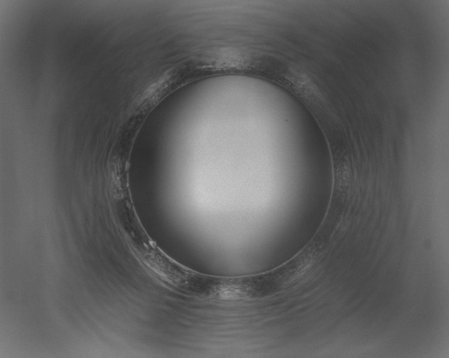 X0000051910264200507011541