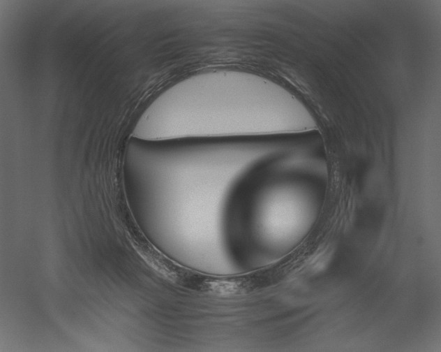 X0000051910265200507011541