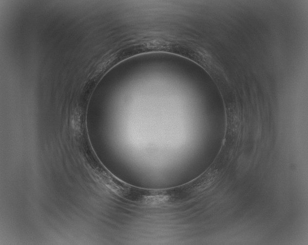 X0000051910266200507011541