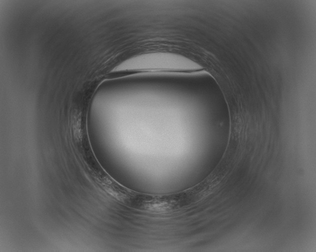 X0000051910267200507011541