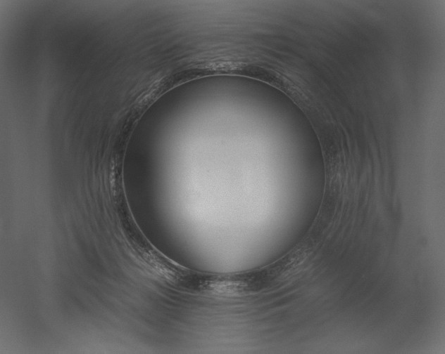 X0000051910268200507011541