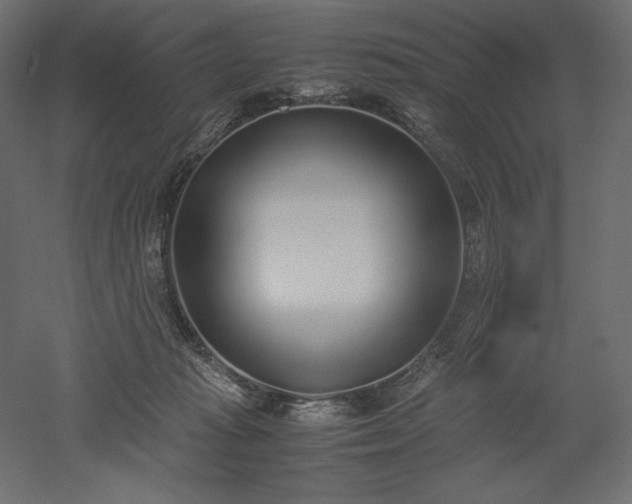 X0000051910269200507011541