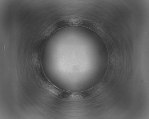 X0000051910270200507011541