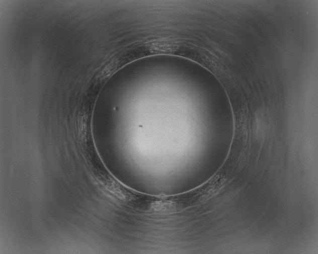 X0000051910271200507011541