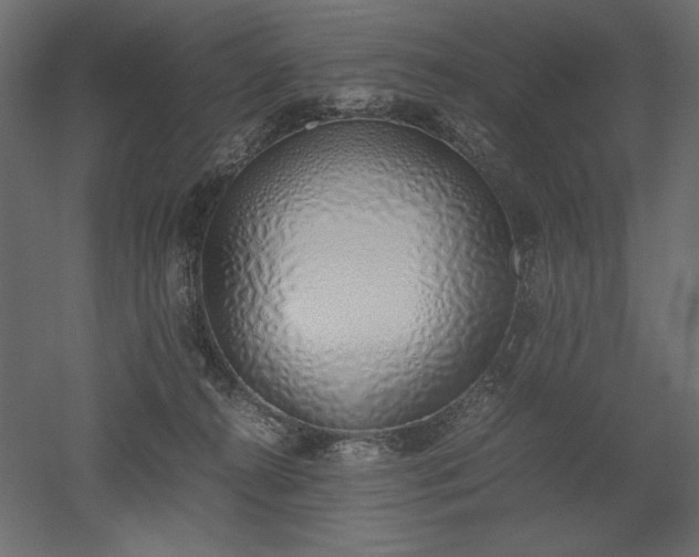 X0000051910272200507011541