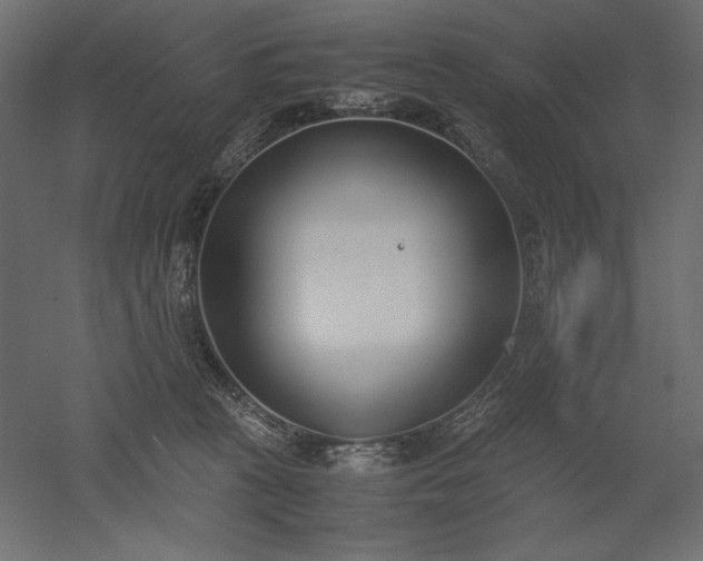 X0000051910273200507011541