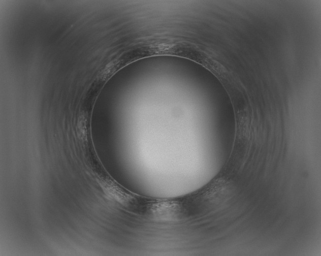 X0000051910274200507011541