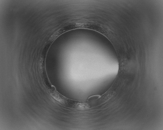 X0000051910275200507011541