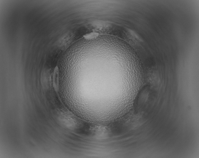 X0000051910276200507011541