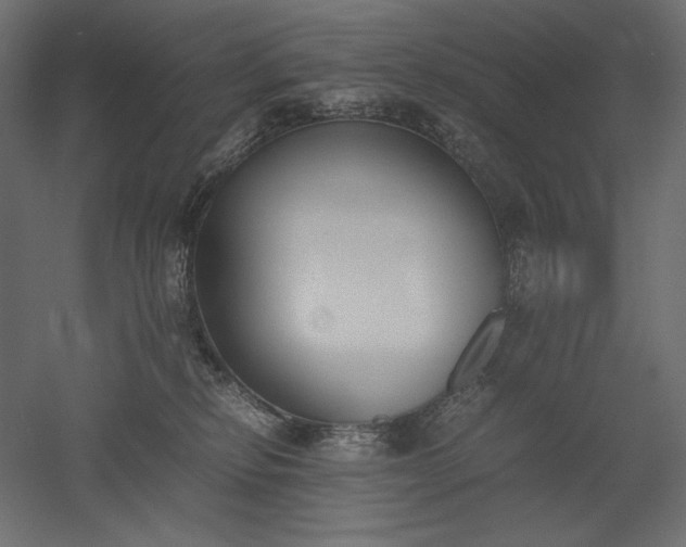 X0000051910278200507011541