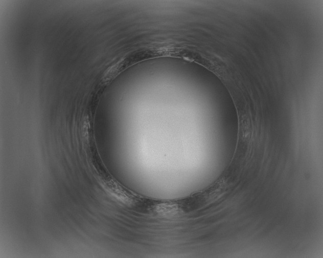 X0000051910279200507011541