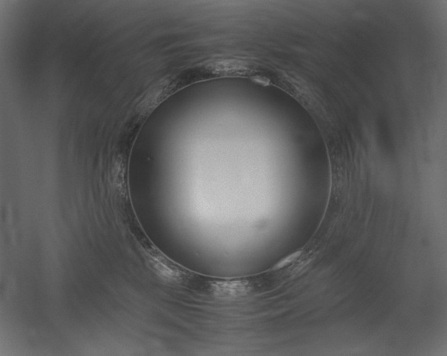 X0000051910281200507011541