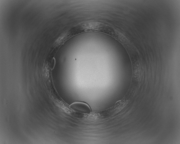 X0000051910282200507011541