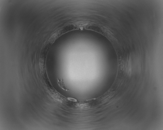 X0000051910283200507011541