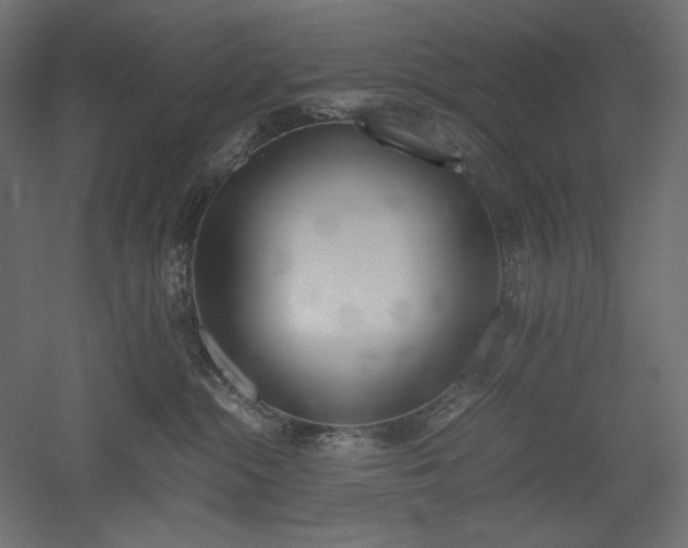 X0000051910284200507011541