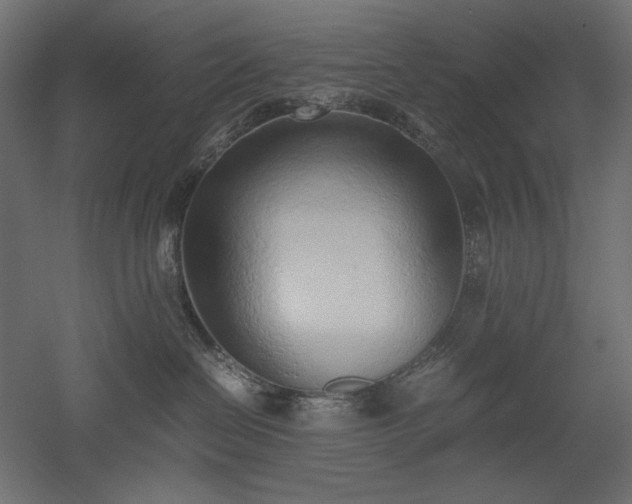 X0000051910286200507011541