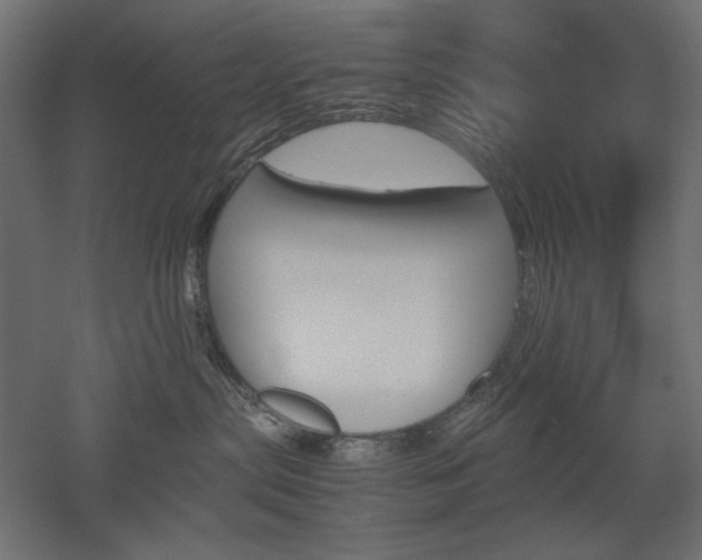 X0000051910287200507011541