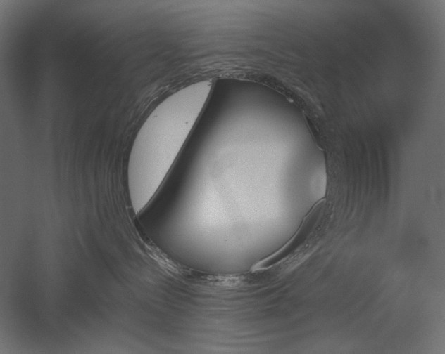 X0000051910288200507011542