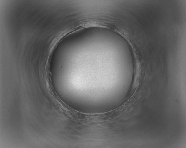 X0000051910289200507011541