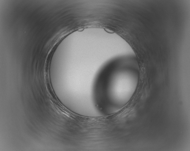 X0000051910290200507011541