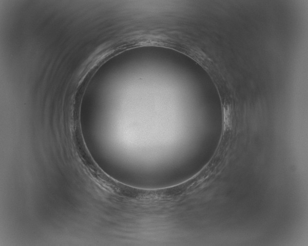 X0000051910291200507011541