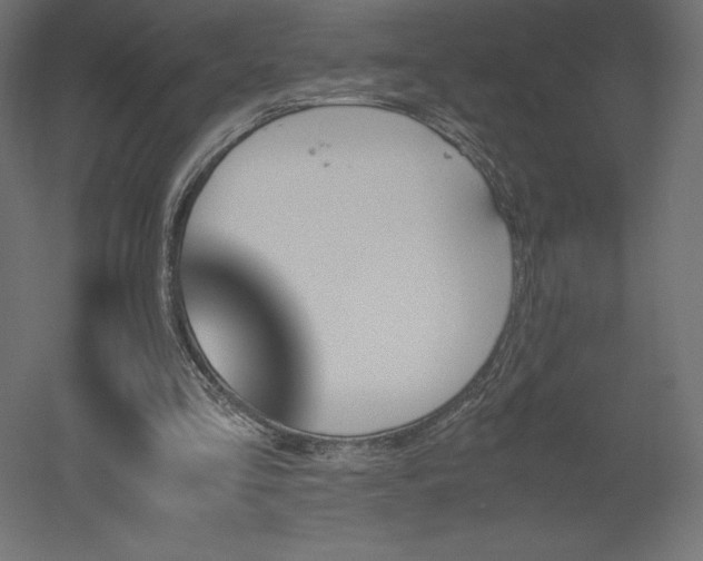 X0000051910293200507011541